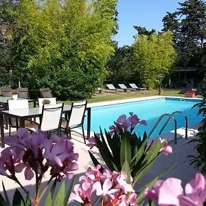 Mas La Provence Bed & Breakfast